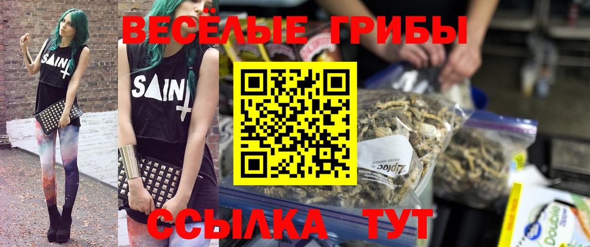 Псилоцибиновые грибы Psilocybe  Вход с VPN  Семёнов 